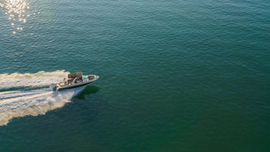 2019 Chris-Craft Launch 25 GT
