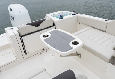 2019 Sailfish Boats 226 DC