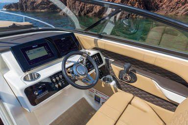 2022 Sea Ray Sunsport 250