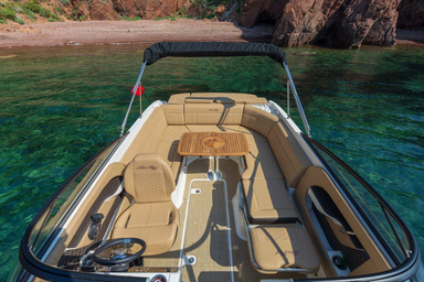 2022 Sea Ray Sunsport 250