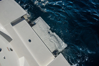 2022 Sea Ray Sunsport 250