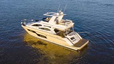 2006 Birchwood 620 Flybridge