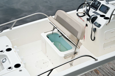 2017 Boston Whaler 170 Dauntless