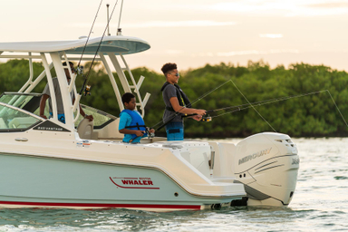2022 Boston Whaler 240 Vantage