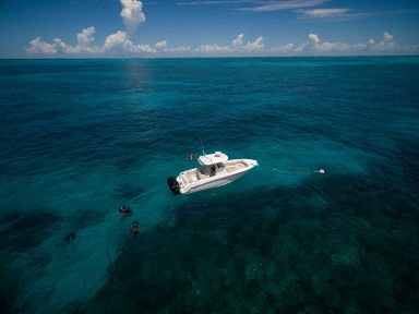 2021 Boston Whaler 280 Outrage