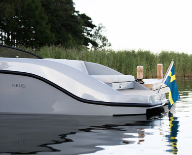 2022 Go Electric Rand Leisure 28