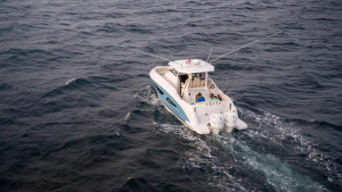 2022 Regal Boats Outboard 33 SAV