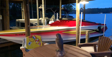 2002 Velocity Powerboats 320