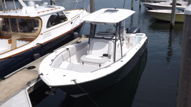 2020 Sea Fox 288 Commander