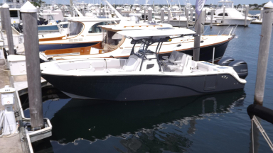 2020 Sea Fox 288 Commander