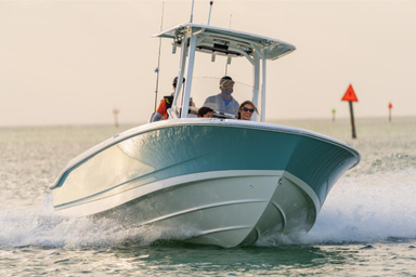 2022 Boston Whaler 250 Dauntless