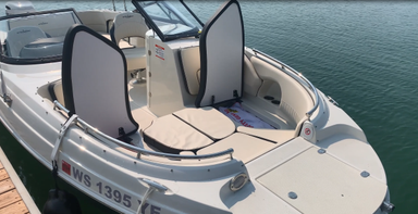 2021 Stingray Boats Stingray 231DC