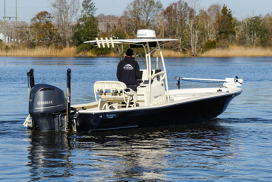 2017 Black Jack Boats 256