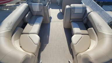 2021 SunChaser Geneva Cruise 22 SB