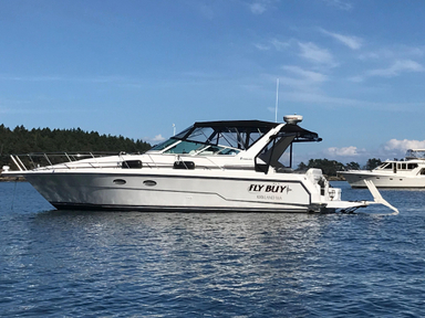 1994 Trojan Boats 370 Express