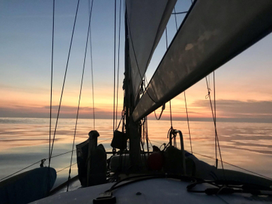 1974 Carter Optimist 37