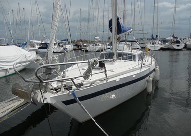 1981 Form Ocean Fruit de mer -Centerboard (Trunk)