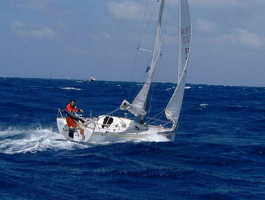 1994 Pogo Structure Pogo 6.50