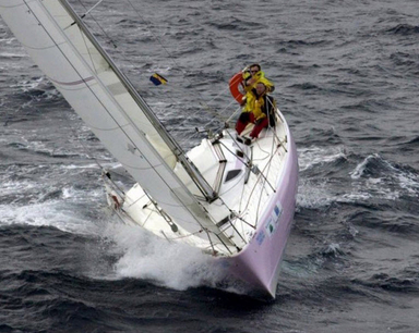 1999 Pogo Structure Pogo 8.50