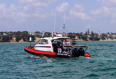 2022 Rayglass Boats Protector 310 Targa