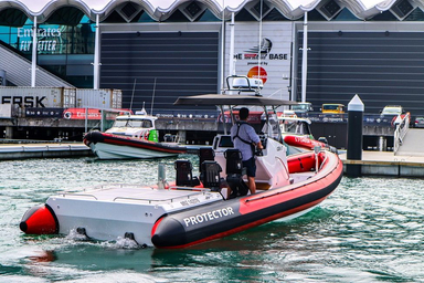 2021 Rayglass Boats Protector 330 Chase