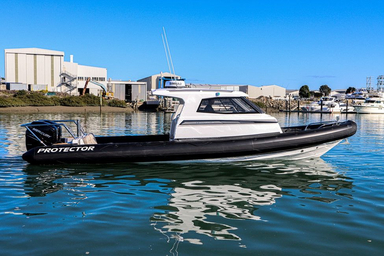 2022 Rayglass Boats Protector 330 Targa