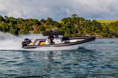 2021 Rayglass Boats Protector 380 Chase