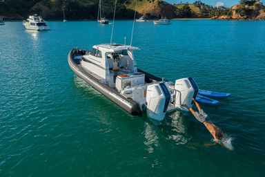 2022 Rayglass Boats Protector 410 Targa