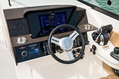 2022 Sea Ray SDX 290 Outboard