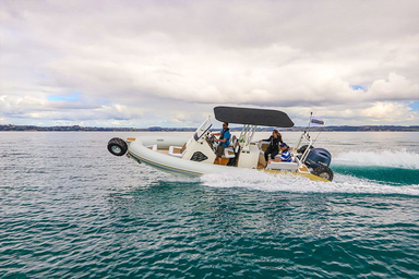 2020 Sealegs 7.5M Amphibious RIB