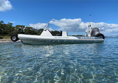 2023 Sealegs 7.5M Electric RIB