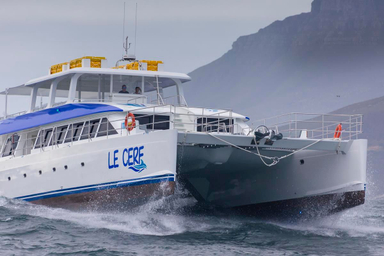 2019 Two Oceans 110 Day Charter Power Catamaran