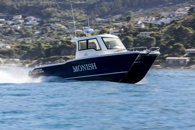 2018 Two Oceans Magnum 2750 Power Catamaran Walkaround