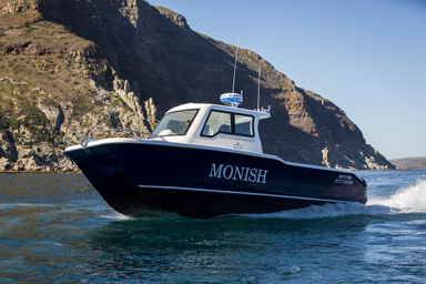 2018 Two Oceans Magnum 2750 Power Catamaran Walkaround