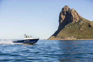 2018 Two Oceans Magnum 2750 Power Catamaran Walkaround