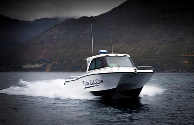 2010 Two Oceans Magnum 36 Power Catamaran Walkaround