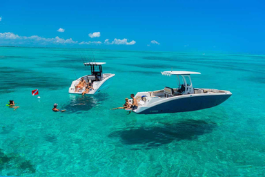 2022 Yamaha Boats 252 FSH Sport