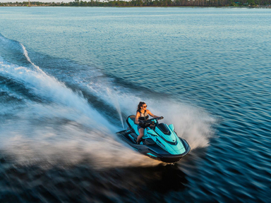 2021 Yamaha WaveRunner FX Limited SVHO