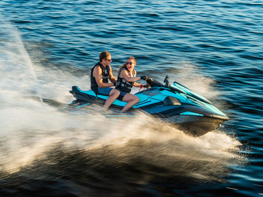 2021 Yamaha WaveRunner FX Limited SVHO